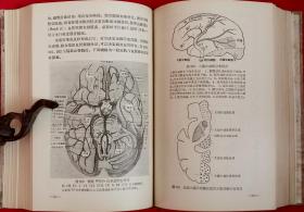 神经系统症状与诊断 (1956年一版一印，繁体字)