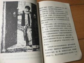 杨开慧的故事