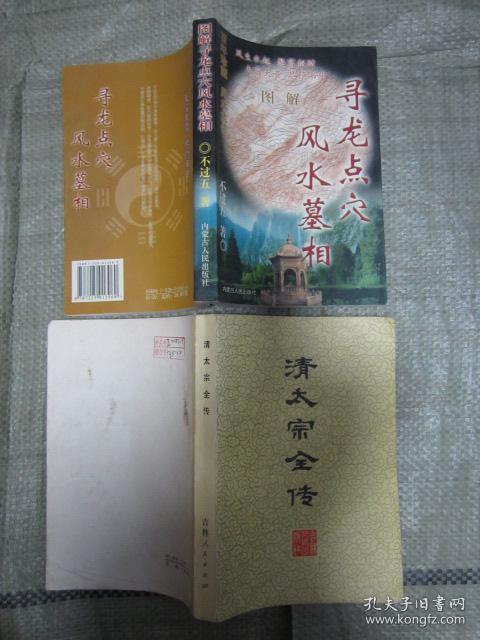 清太宗全传（83年1版1印）