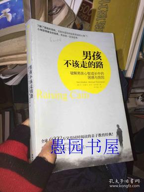 男孩不该走的路：破解男孩心智成长中的困惑与危险