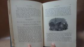 1870年 Random Truths in Common Things 经典英语散文随笔《常物枝语录》全插图本 满堂烫金装饰精装 大量雕版版画