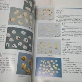 中国中药材真伪鉴别图典