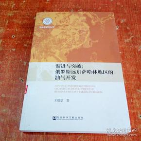 渐进与突破：俄罗斯远东萨哈林地区的油气开发