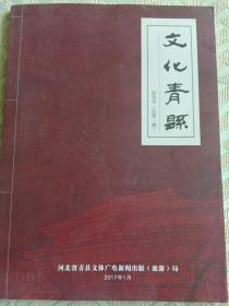 文化青县创刊号