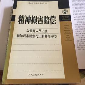 精神损害赔偿----损害赔偿理论与司法实践丛书