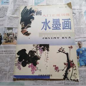 绘画入门让规训练   水墨画