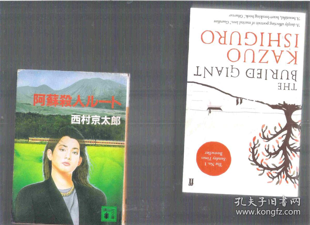 日文原版推理小说 阿蘇殺人ルート / 西村京太郎（著） 64开本