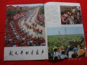 人民画报 1970.12(逐页检查，不缺页)