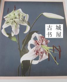 稀缺《 大型画册，日本风光 10卷全 》 限量版，约1890年出版