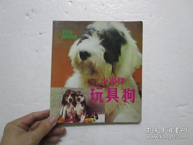 1984年第二版《小宠物玩具狗》