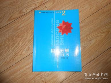 因式分解技巧 初中卷2