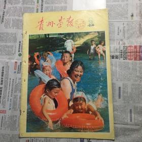 1979年第3期贵州画报