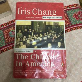 The Chinese in America: A Narrative History