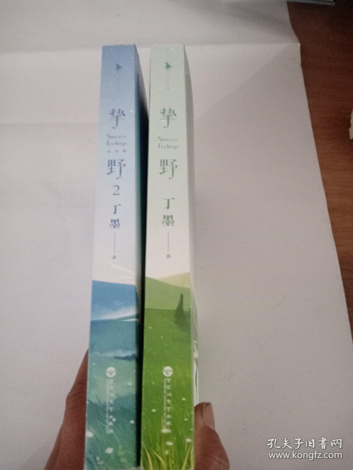 挚野，挚野2完结篇