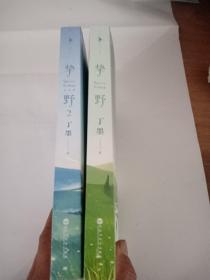 挚野,挚野2完结篇