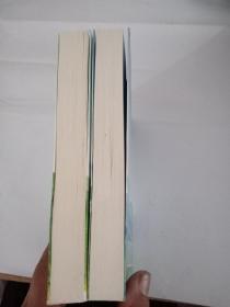 挚野,挚野2完结篇