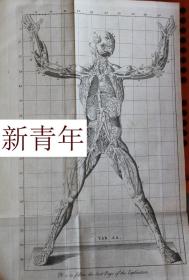 稀缺，珍贵《人体结构的解剖学》 版画插图，约1765年出版