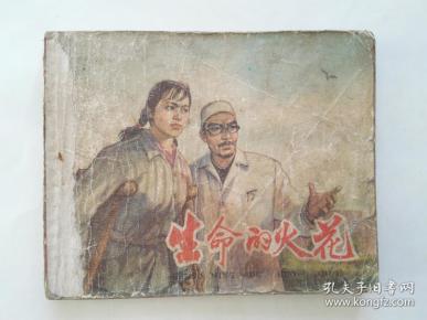 生命的火花 【稀有精品连环画】
