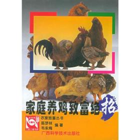 家庭养鸡致富绝招/农家致富丛书
