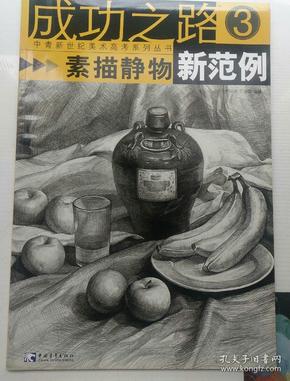 成功之路：素描静物新范例3