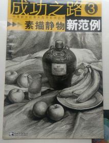 成功之路：素描静物新范例3