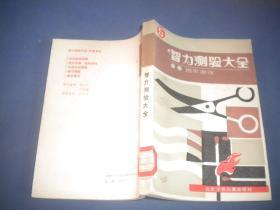 智力测验大全5：图形游戏