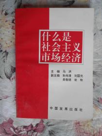 什么是社会主义市场经济 马洪 主编  / / 1993-