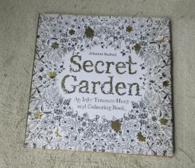 Secret Garden：An Inky Treasure Hunt and Coloring Book