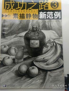 成功之路：素描静物新范例3