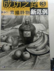 成功之路：素描静物新范例3