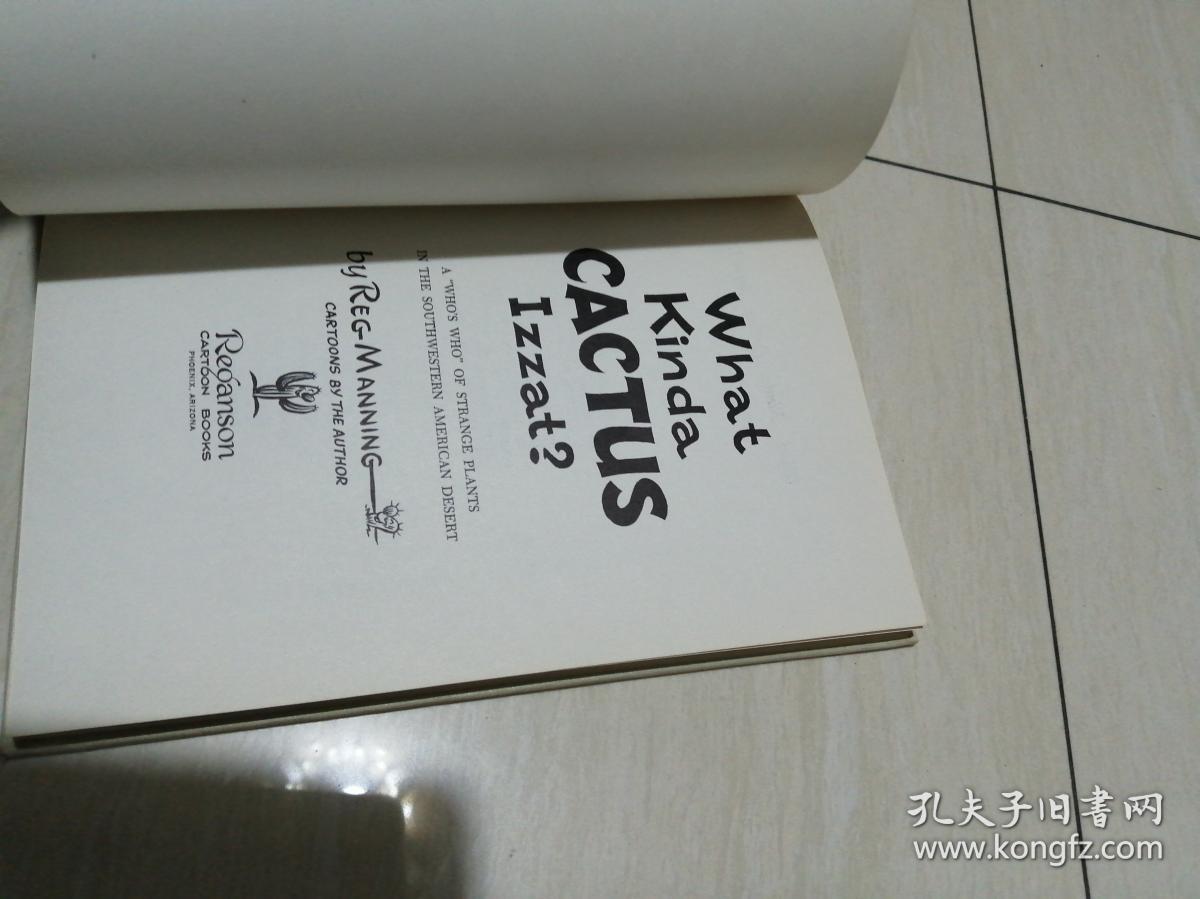 一本外文老画册