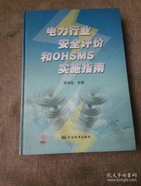 电力行业安全评价和OHSMS实施指南