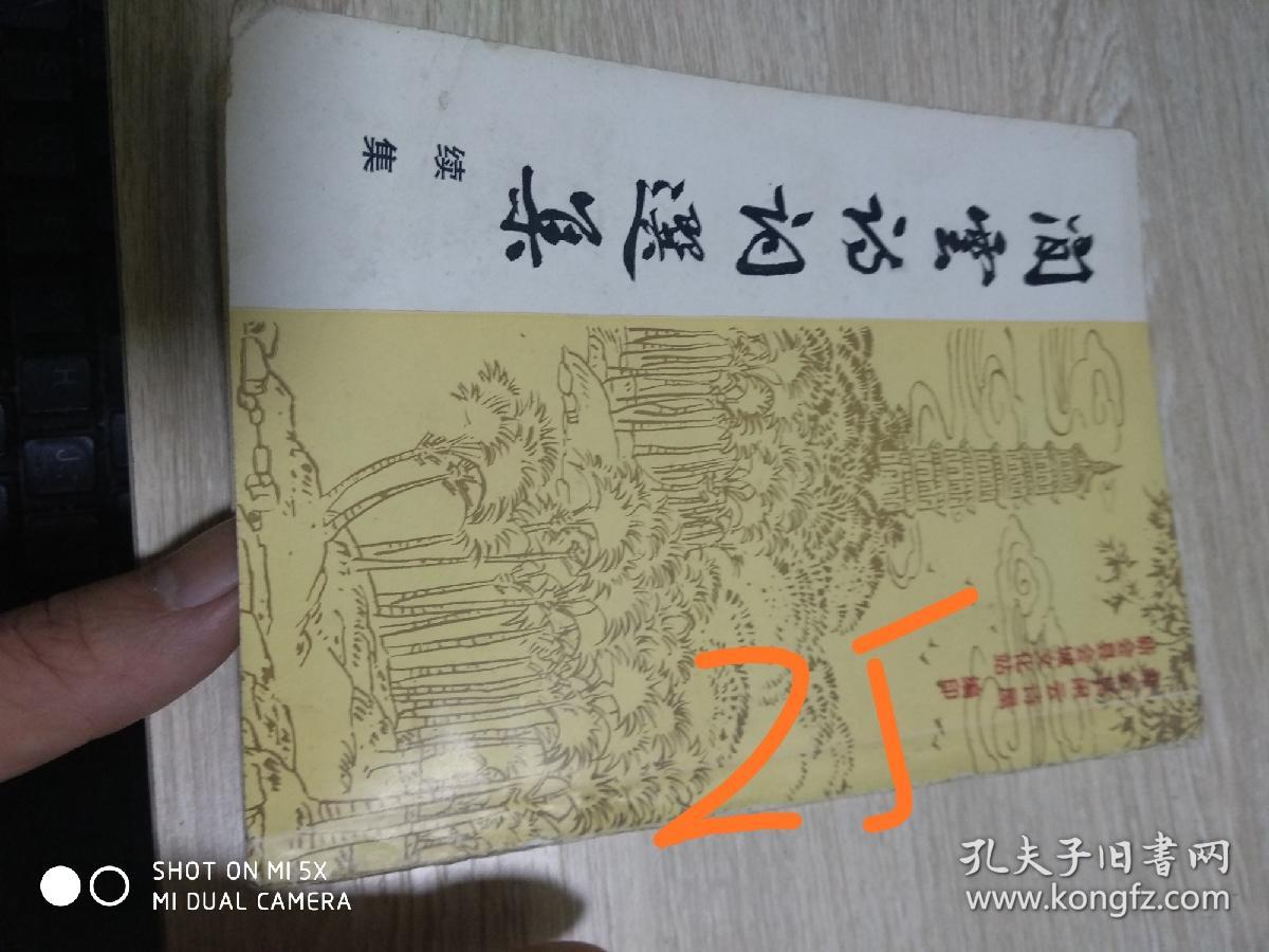 闲云诗词选集（续集）