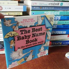 The Best Baby Name Book in the Whole Wide World