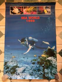 1988年 海底世界 挂历