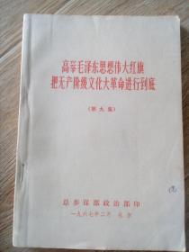 高举毛泽东思想伟大红旗   把无产阶级*****进行到底