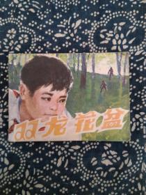 双龙花盆
