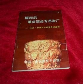 崛起的重庆酒类专用炭厂——汪洋牌酒类专用炭论述选辑