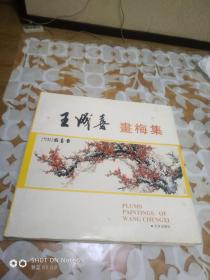 王成喜画梅集