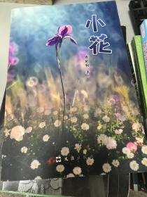 《现货》图书  小花9787549616473