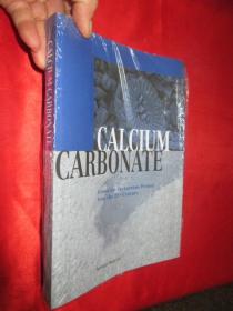 Calcium Carbonate: From the Cretaceous Per...  （16开）  【详见图】