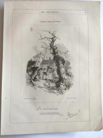 1849年 木版插画  木口木刻 版画之4 双面印制图文