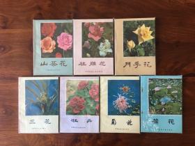 《兰花》沈渊如、《菊花》姚毓璆、《杜鹃花》沈荫春及《荷花》、《茶花》、《月季花》、《牡丹》七册一套