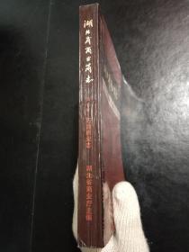 湖北省商业简志_石油商业志