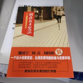 别在异乡哭泣：一个律师的成长手记