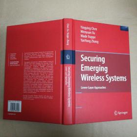 保护新兴无线系统：低层方法 Securing Emerging Wireless Systems: Lower-layer Approaches