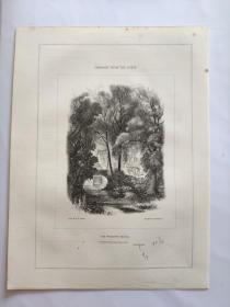 1849年 木版插画 木口木刻 版画之16 双面印制图文