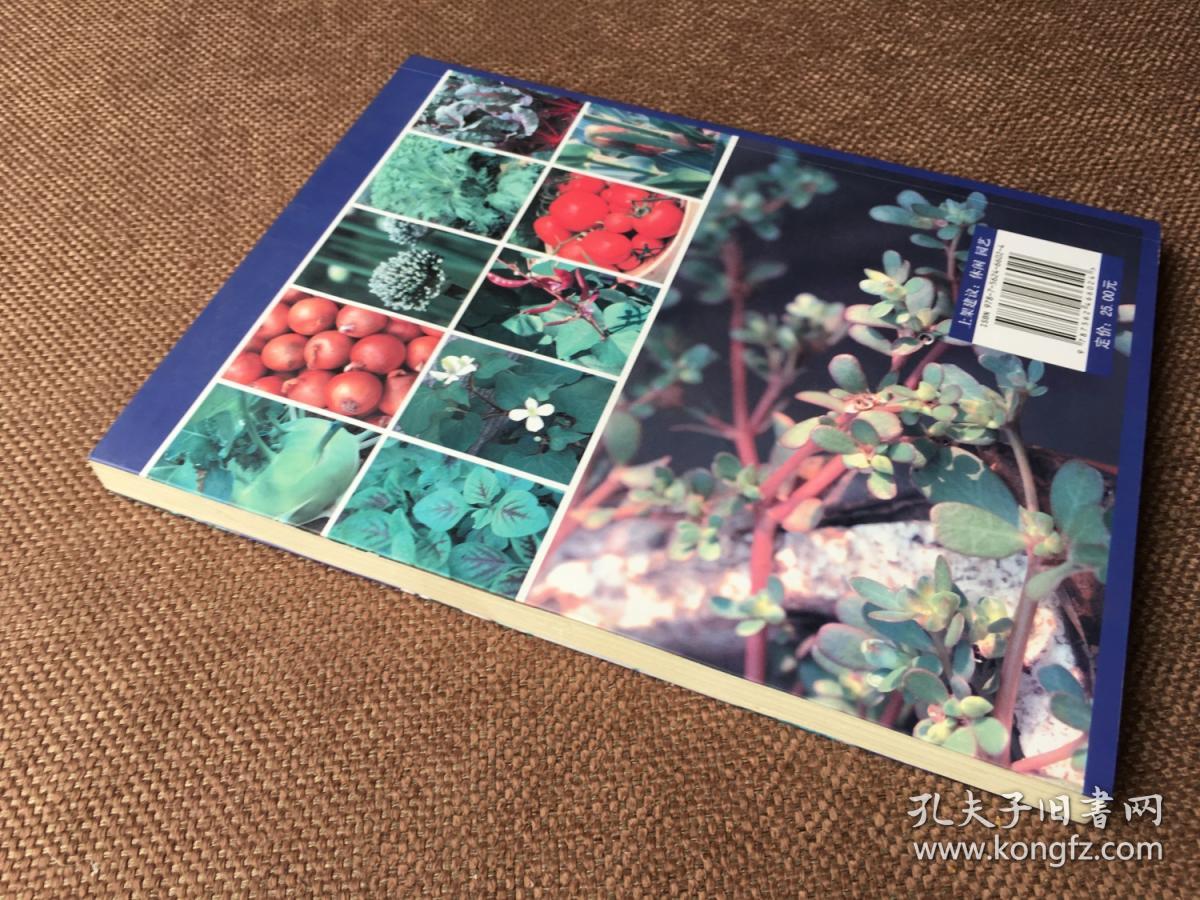 种菜就是种健康：都市阳台菜园全攻略