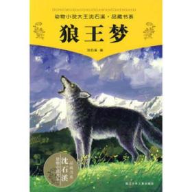 9787534256301/动物小说大王沈石溪品藏书系--狼王梦