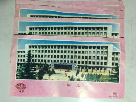 1980年代山东大学恭贺新喜卡片（7张）